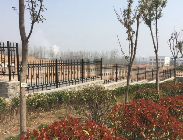 15247079527538206.jpg 15247079527538206.jpg